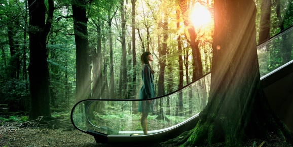 Person ascending escalator in forest. AR and VR experience concept.