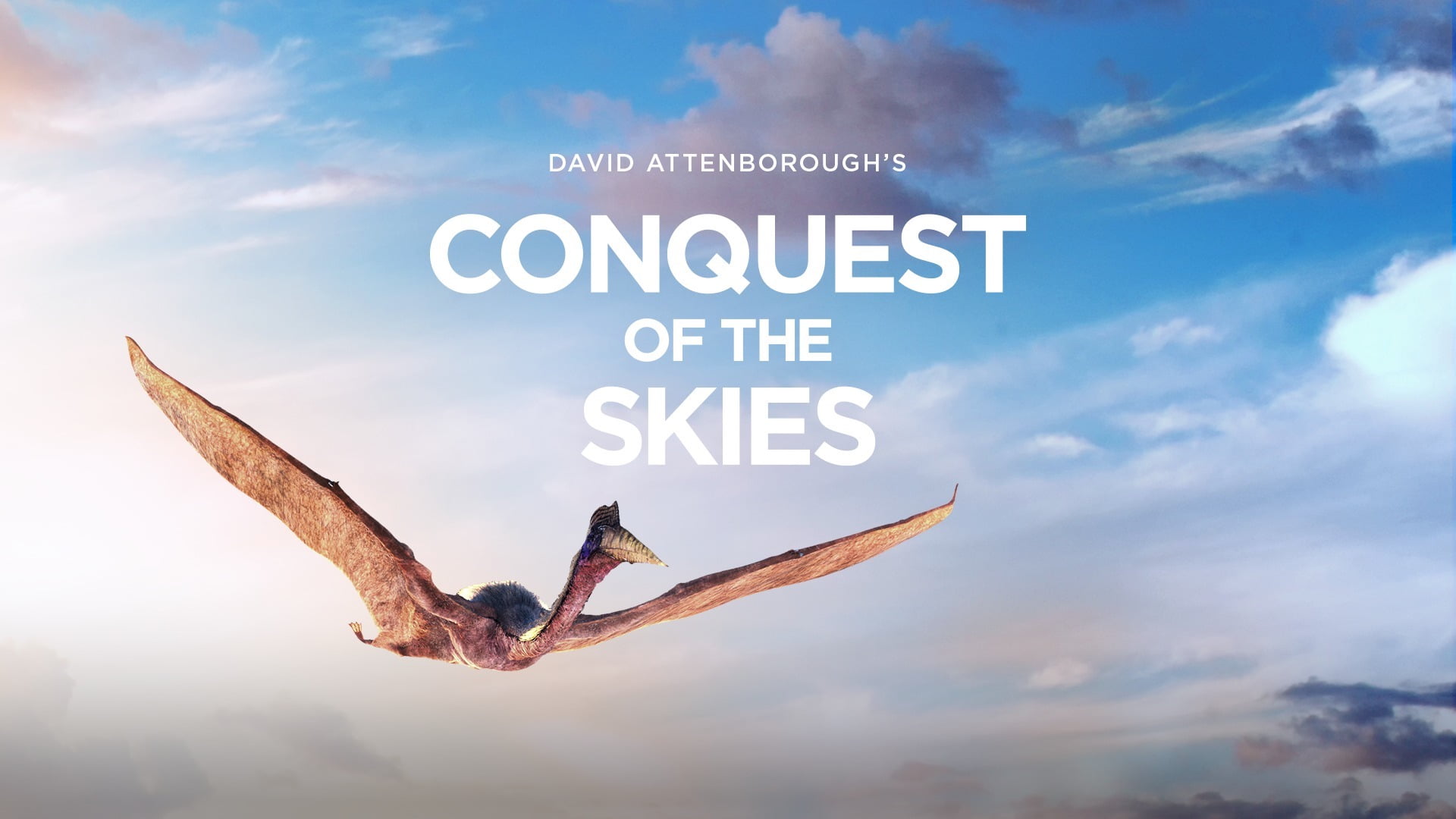 Ein prähistorischer Vogelsaurier fliegt durch einen Wolkenhimmel.