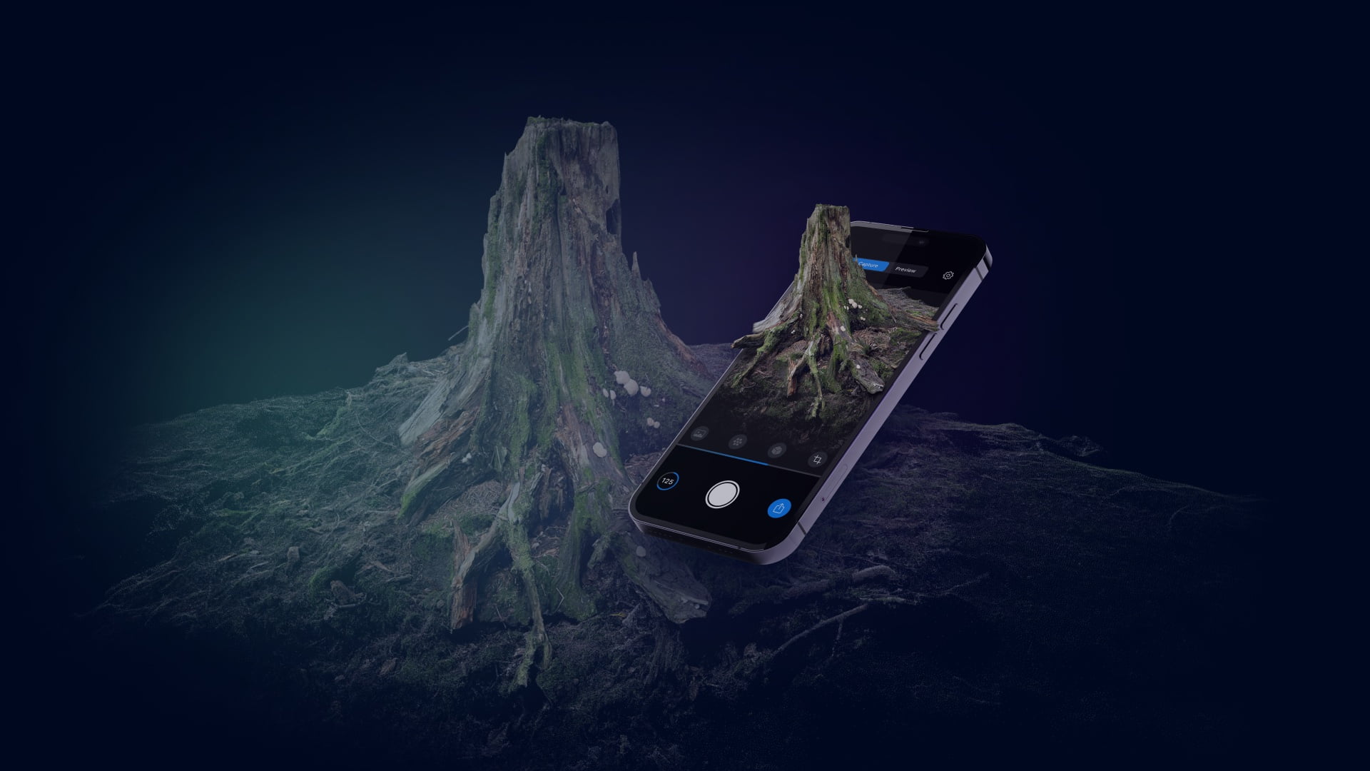 Ein echter Baum sowie ein digitales Pendant, das aus einem Smartphone ragt.