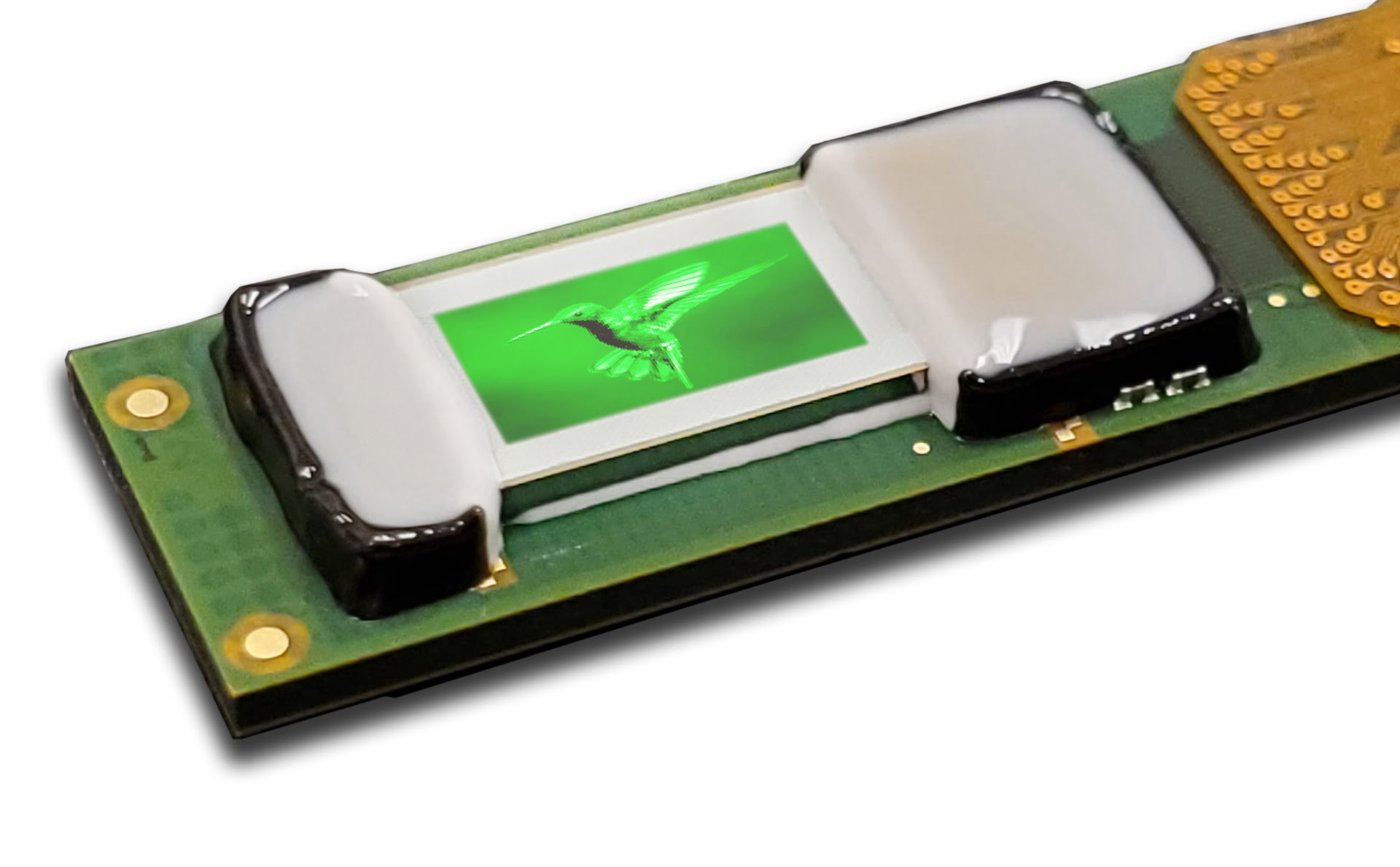 Bild eines winzigen MicroLED-Displays.
